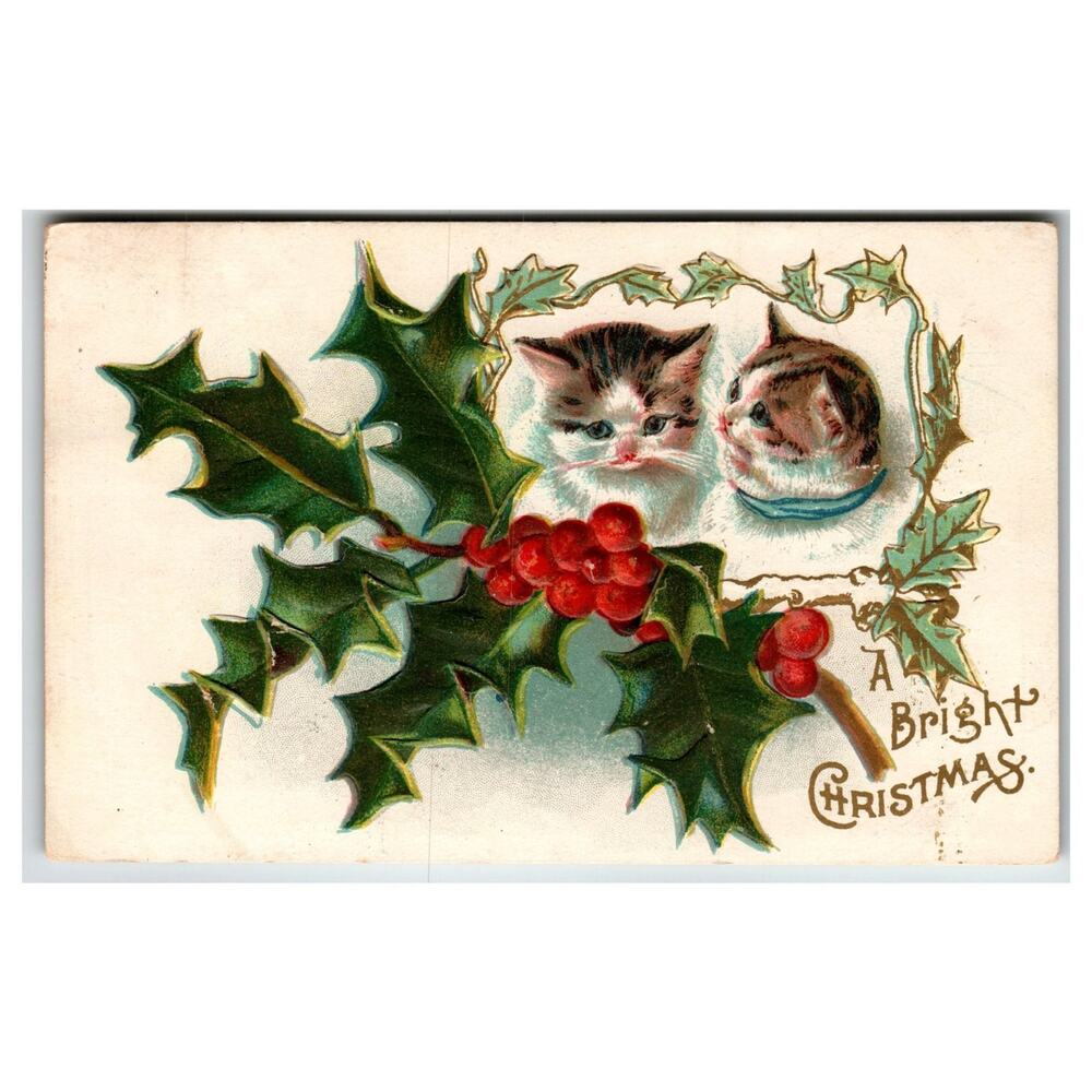 Vintage Christmas Postcard Embossed Kittens Holly A Bright Christmas Posted 1908
